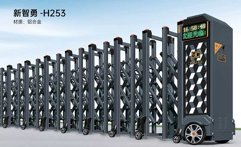 新智勇 H253